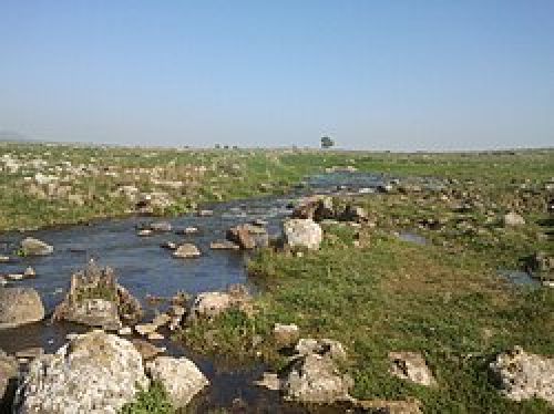 שמורת טבע יער יהודיה